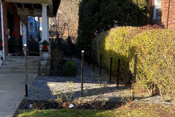 Professional bush trimming service