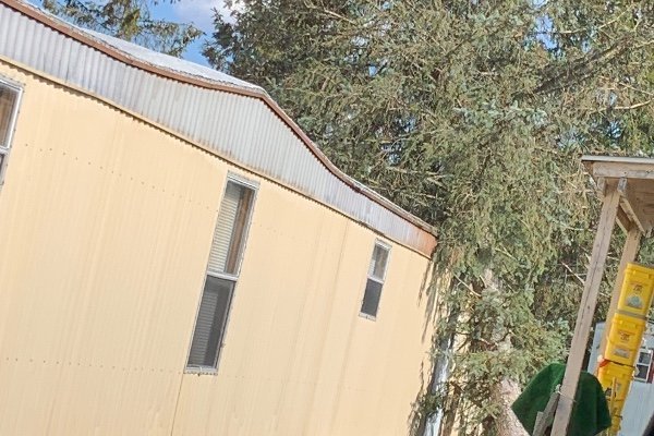 Emergency tree service