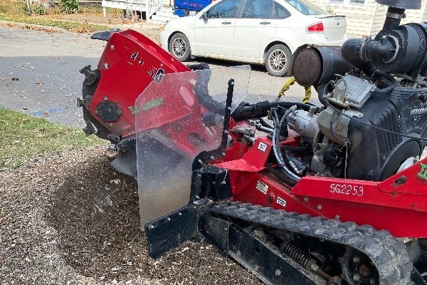 Professional stump removal service